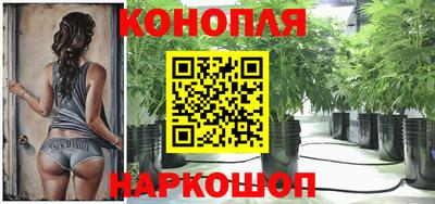 индика Чебоксары